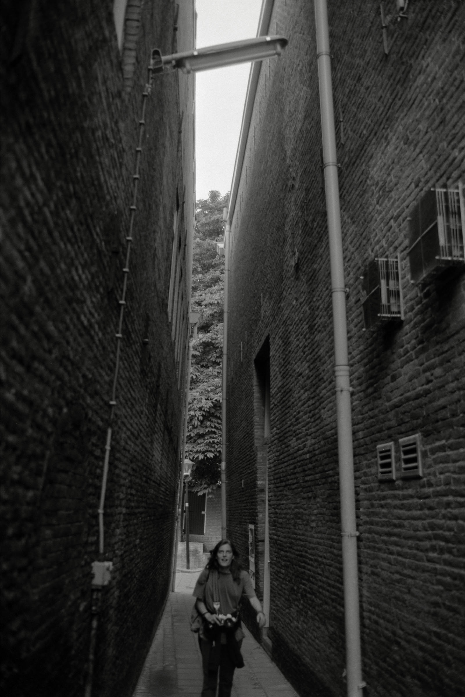 AHP F1992 06 001 sc250507 img10 NLP